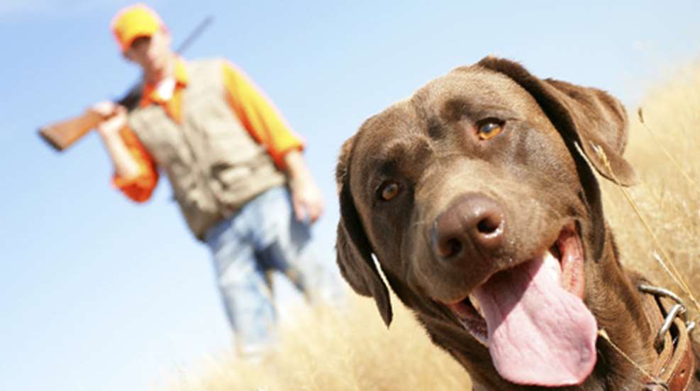 201122412114-dog_says_f.jpg