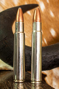 .416 Rigby and .416 Remington Magnum
