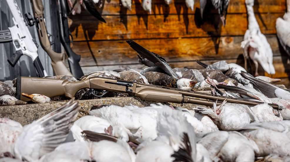 Ledegforce One And Show Geese