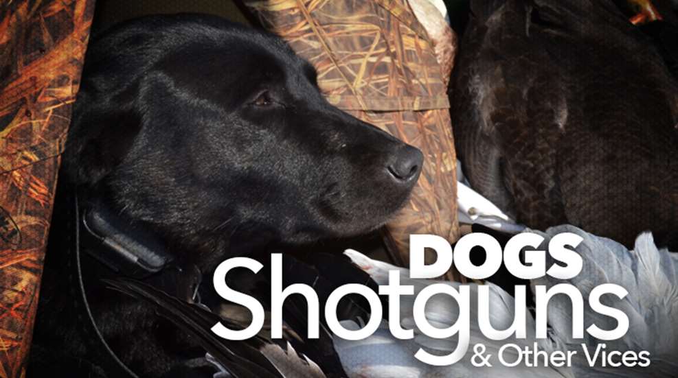 dogs_ah2015_fs.jpg (76)