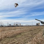 An Offseason Plan to Improve Your Wingshooting Skills | An Official Journal Of The NRA