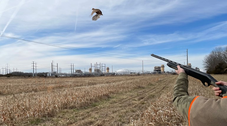 An Offseason Plan to Improve Your Wingshooting Skills | An Official Journal Of The NRA