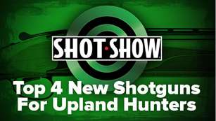 top4shotguns_lead.jpg