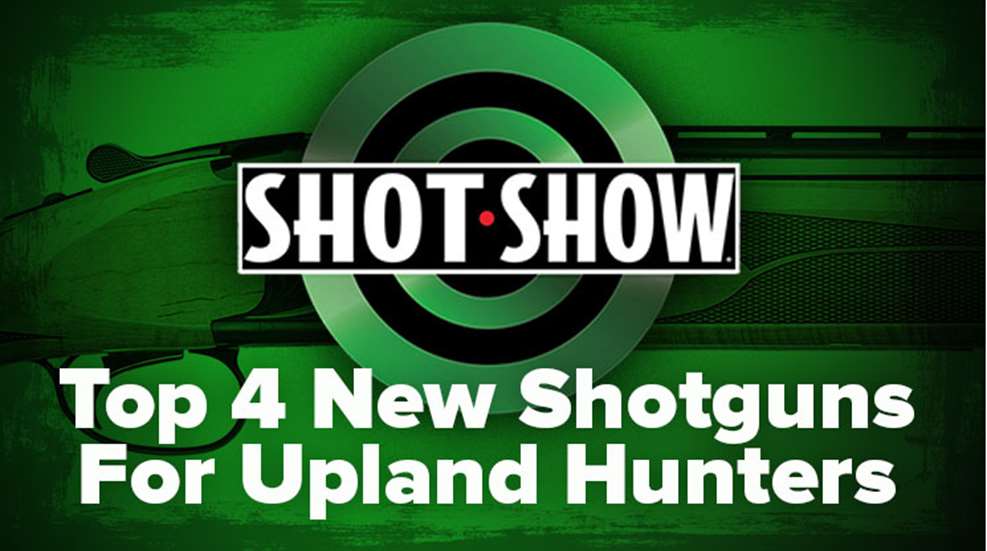 top4shotguns_lead.jpg
