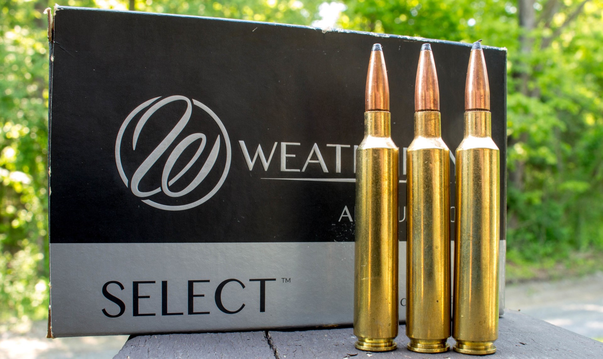 6.5 Wby RPM