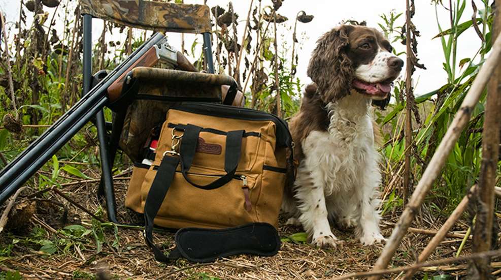 dove_dog_duties_f.jpg