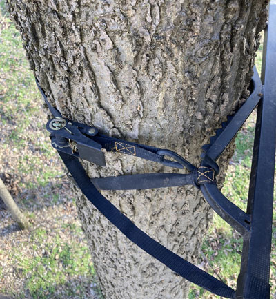 Tree stand 3