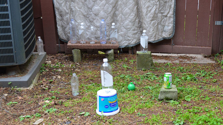 Backyard bottle range, with thick blanket to stop the BBs.