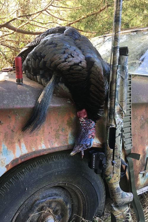 Gobbler on Truck