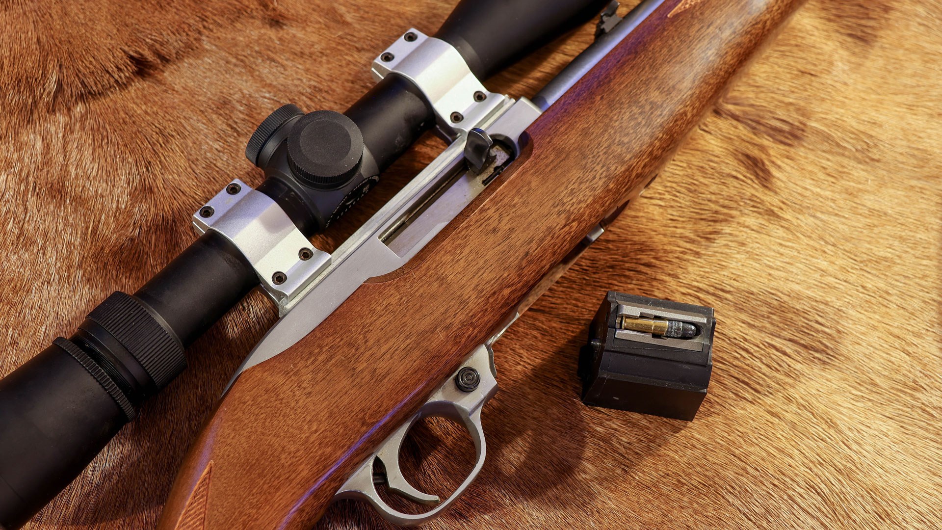 Ruger with magazine