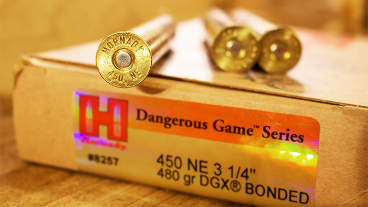 Hornady Dangerous Game Series .450 Nitro Express 480-grain DGX Bonded Ammunition