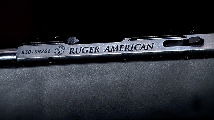 ruger_american_22_artv.jpg