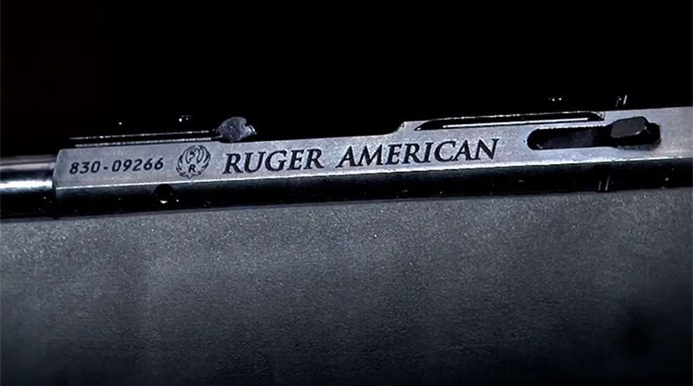 ruger_american_22_artv.jpg