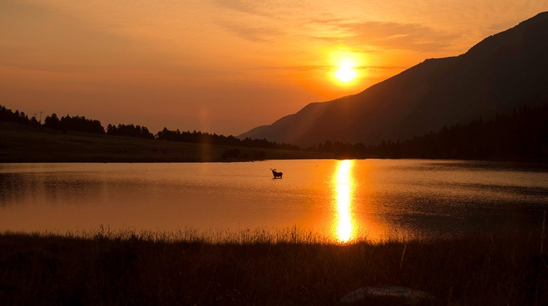 The Maine Attraction | An Official Journal Of The NRA