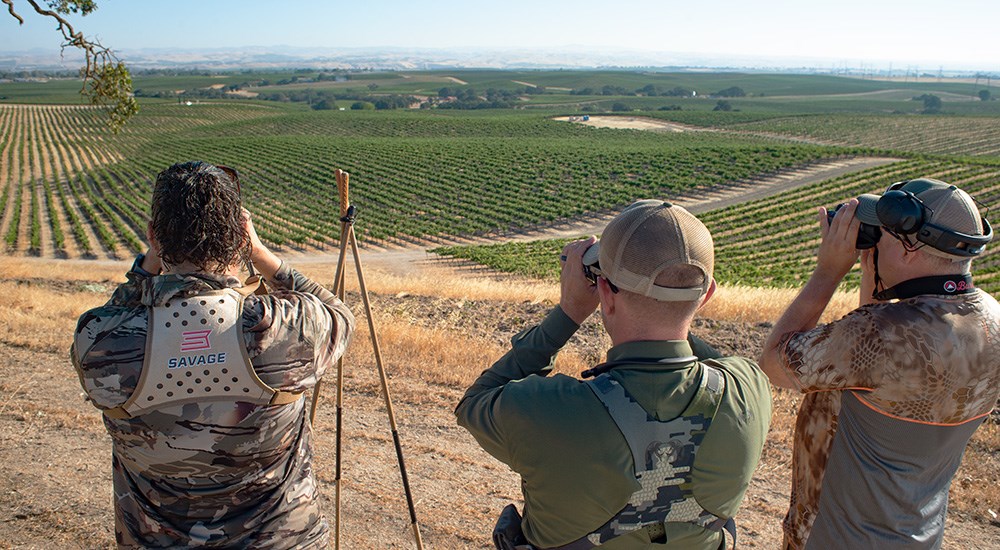 Three hunters using binoculars to find blacktail deer in California vineyard.
