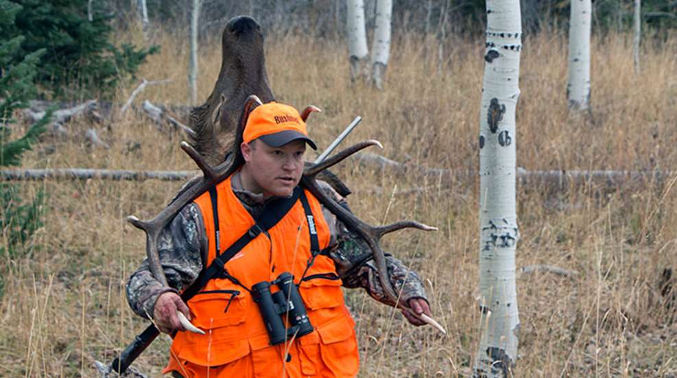 elk_two_ways_f.jpg