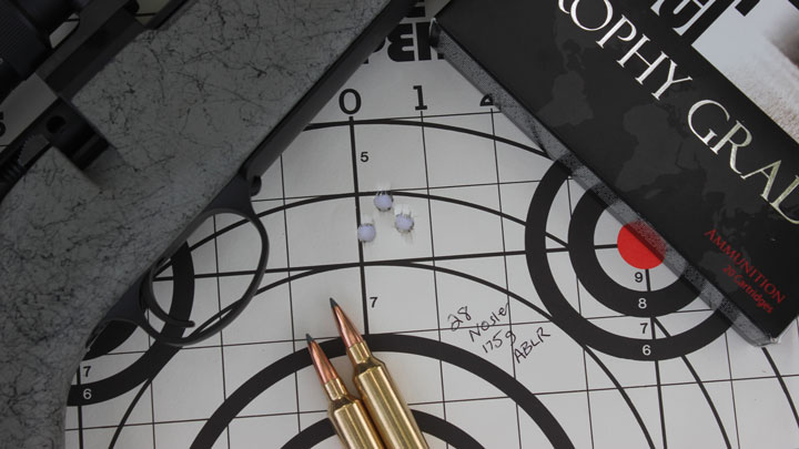 Cartridges and grouping on target next to rifle.