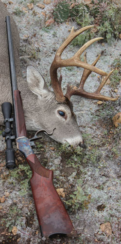 Wood-stocked rolling-block rifle in .45-70 propped against a downed buck.