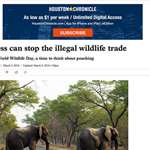houston_chron_elephants.jpg