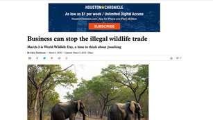 houston_chron_elephants.jpg