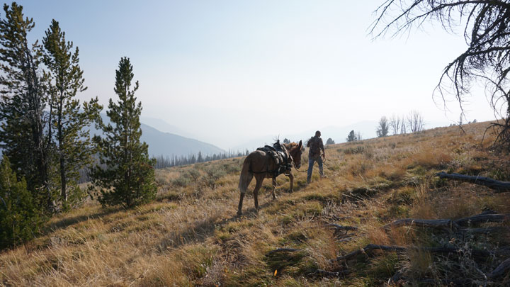 Greg with his mule