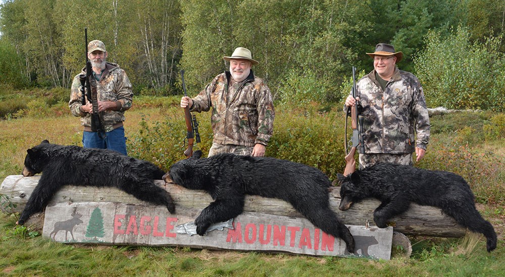 Hunters with Black Bears in Maine