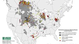 Latest Update On CWD Lede