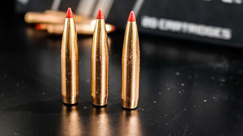 hornady_precision_hunter_2017_f.jpg