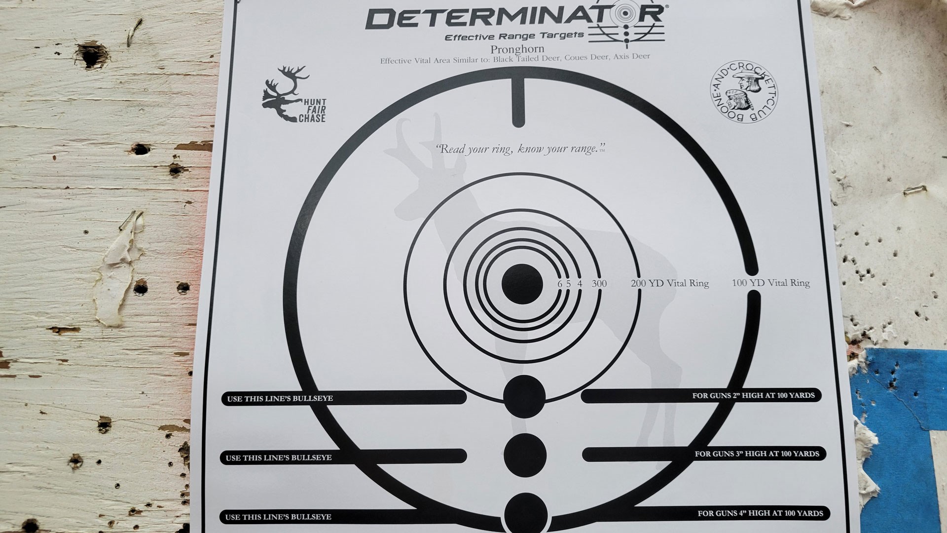 Scholar  Target Circle Through The Bullseye