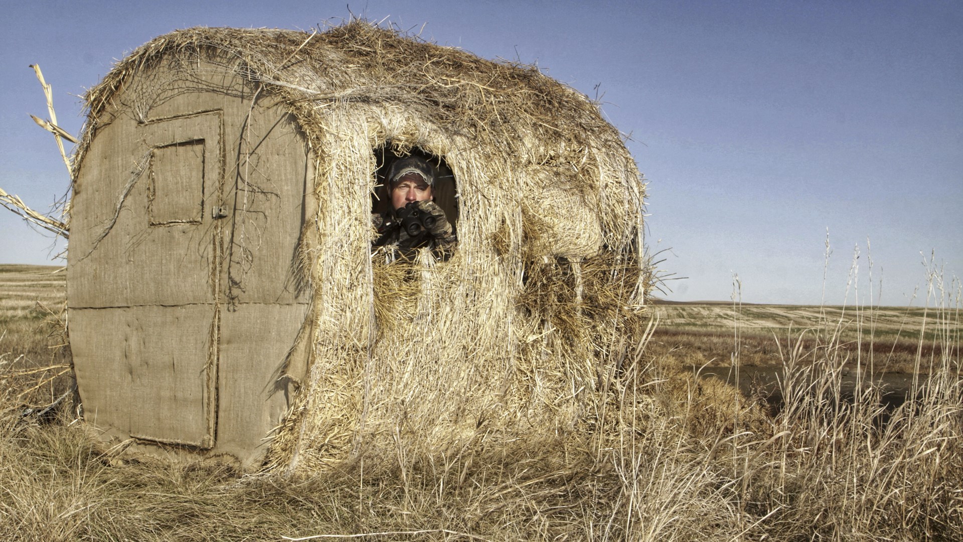 Whitetail ground blind