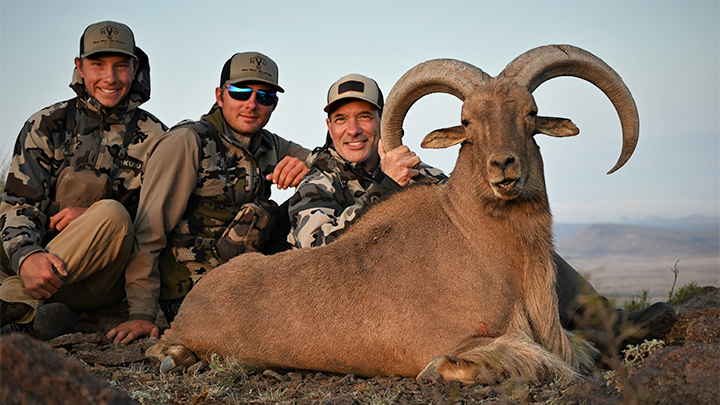Hunters with Aoudad Ram