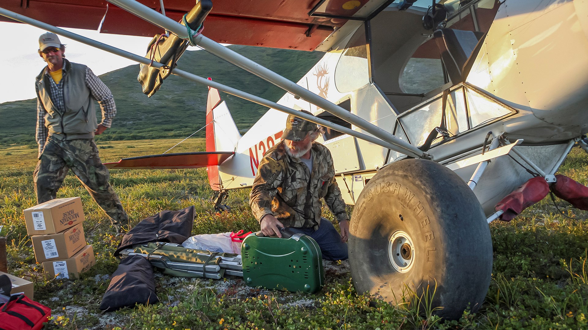 Bush plane service