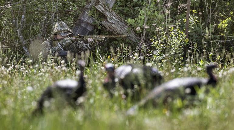 8 Ways to Fail at Turkey Hunting | An Official Journal Of The NRA