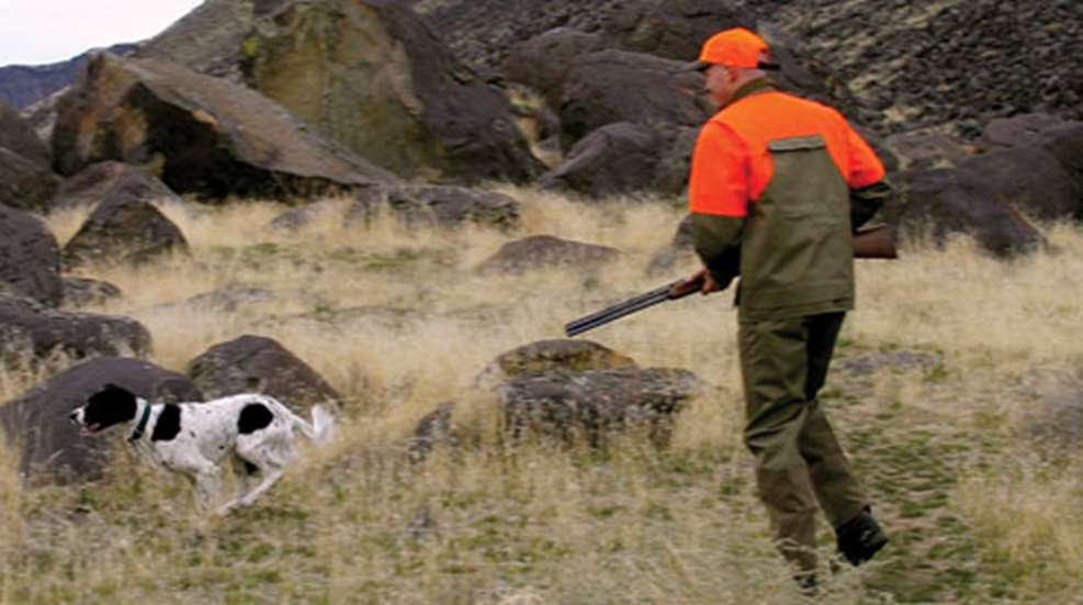 2012815101744-dog_ready_for_west.jpg