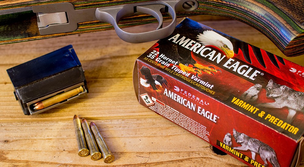 Federal Premium American Eagle Varmint and Predator .22 Hornet 35 grain ammunition laying on wooden table.