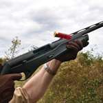 2009824-vinci_f.jpg