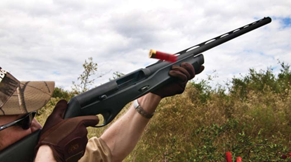 2009824-vinci_f.jpg