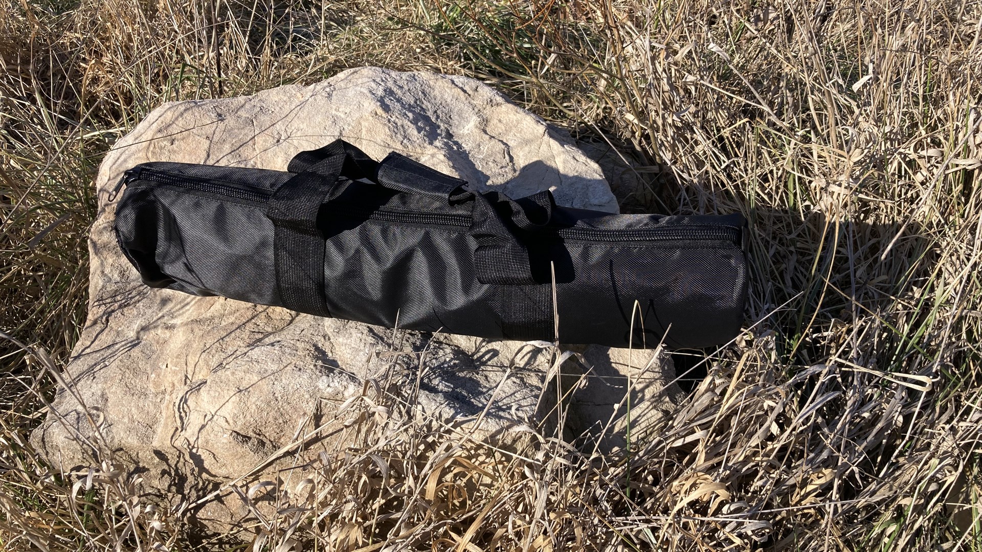 Carrying case