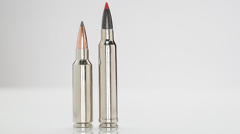 Hardware: Winchester Expedition Rifle Cartridges | An Official Journal Of The NRA