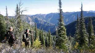 201287132911-elk-hunting-(small)_m.jpg