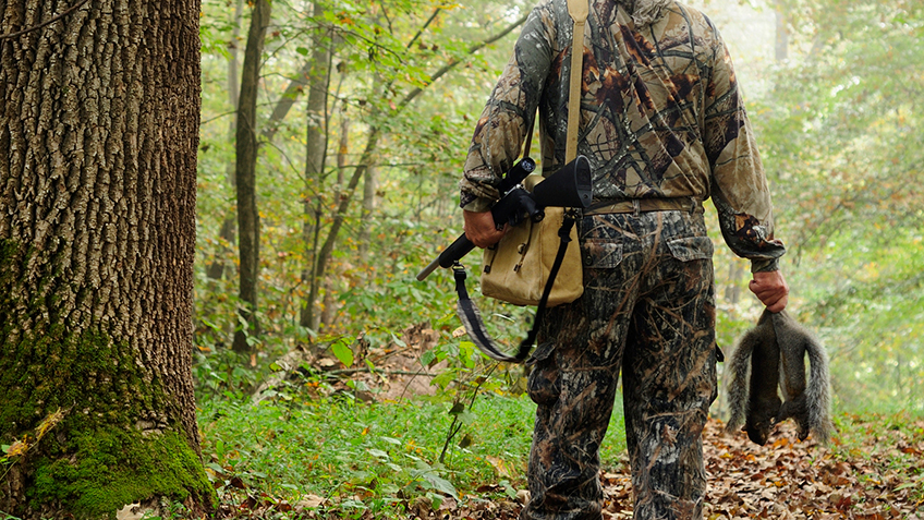 5 Reasons Why You Should Be Squirrel Hunting An Official Journal