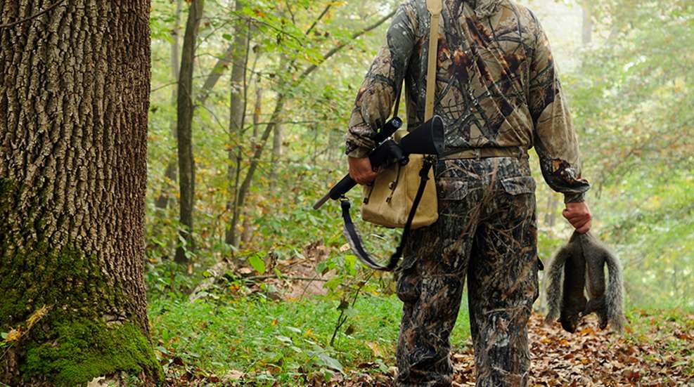 5 Reasons Why You Should Be Squirrel Hunting | An Official Journal Of ...