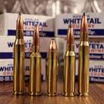Whitetail Country Lede