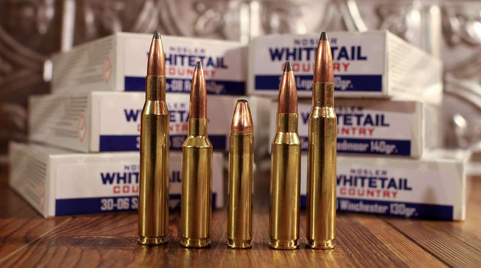 Whitetail Country Lede