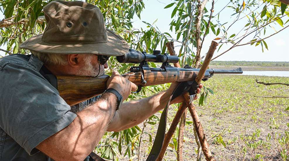 gandgaustralianbuffalo_lead.jpg