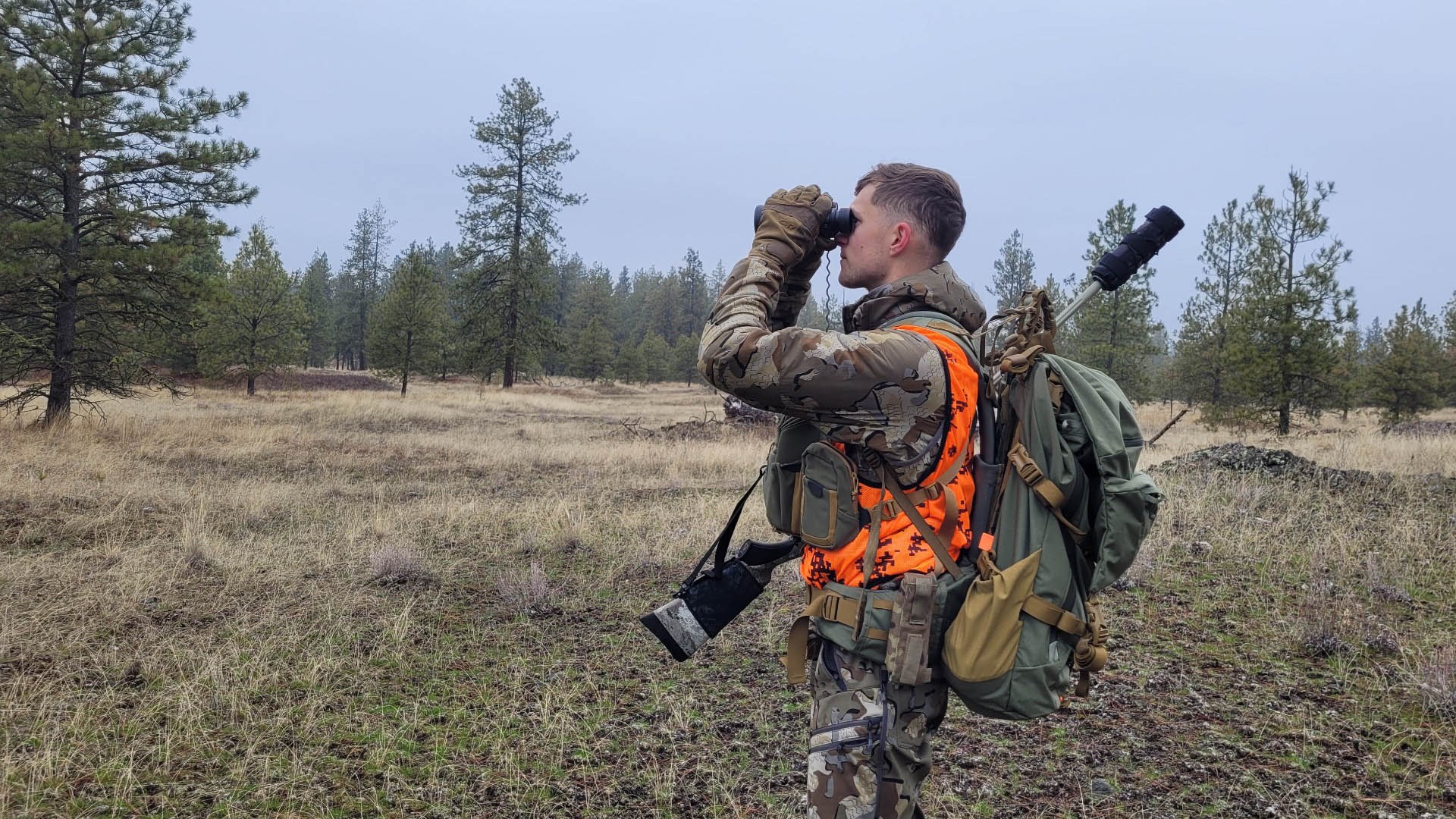 Hunter glassing field