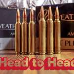 LEDE6.5RPM And 6.5 300 Mag