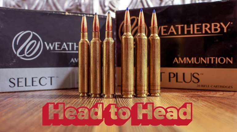 LEDE6.5RPM And 6.5 300 Mag