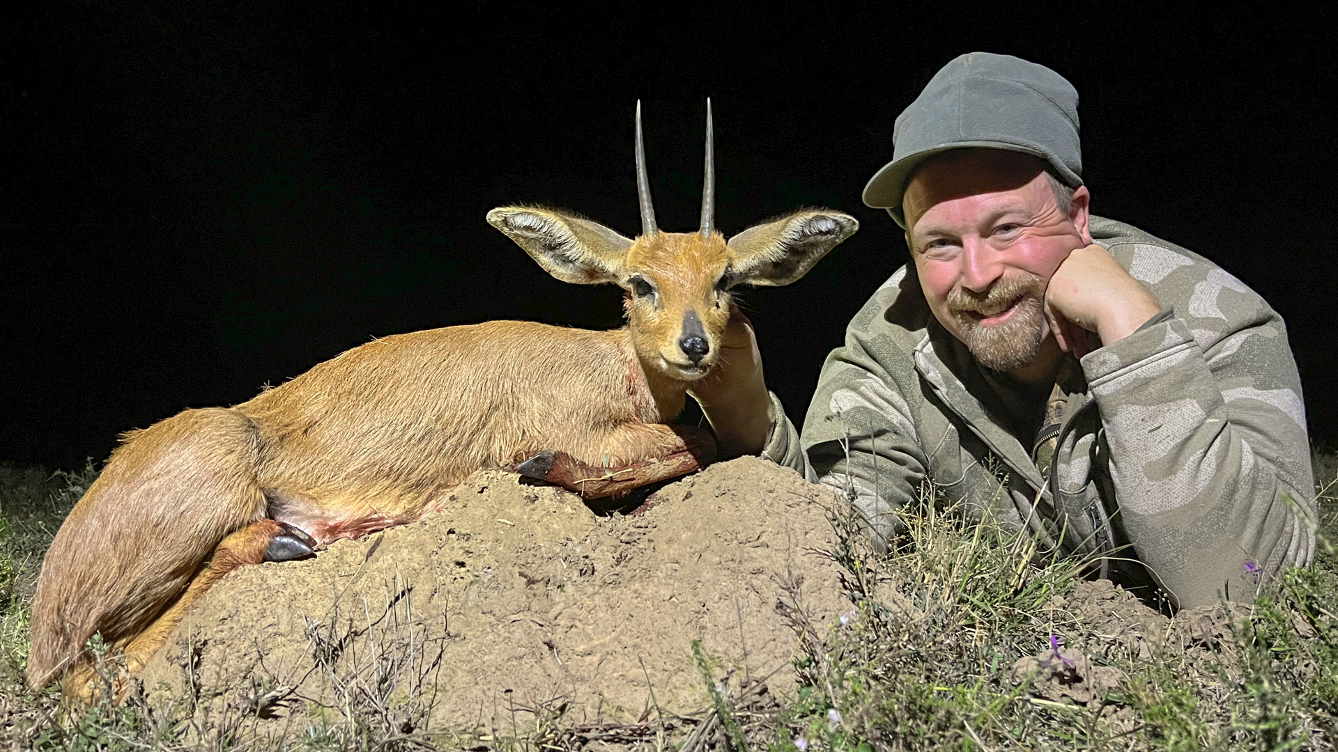 As one of southern Africa’s “TIny Ten” antelope species, a mature steenbok stands about 24 inches at the shoulder and weighs only 35 pounds.