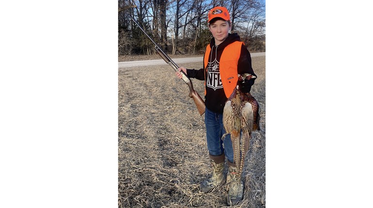 Member's Hunt: First Pheasant with the Old Gun | An Official Journal Of The NRA